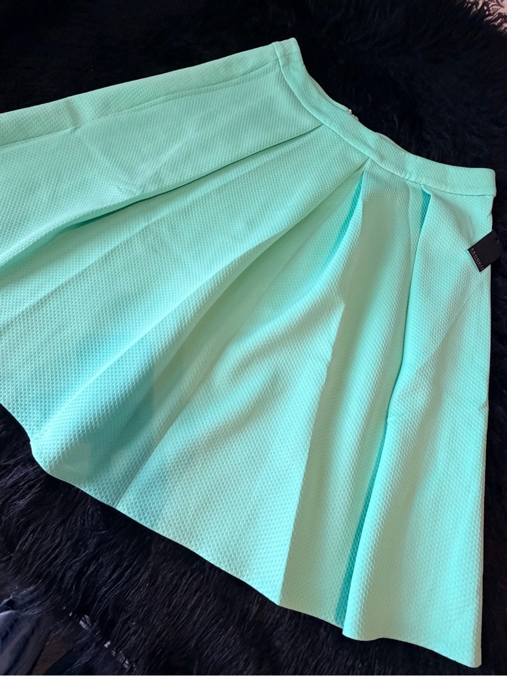 NWT! Eloquii Mint Pleated A-Line Skirt